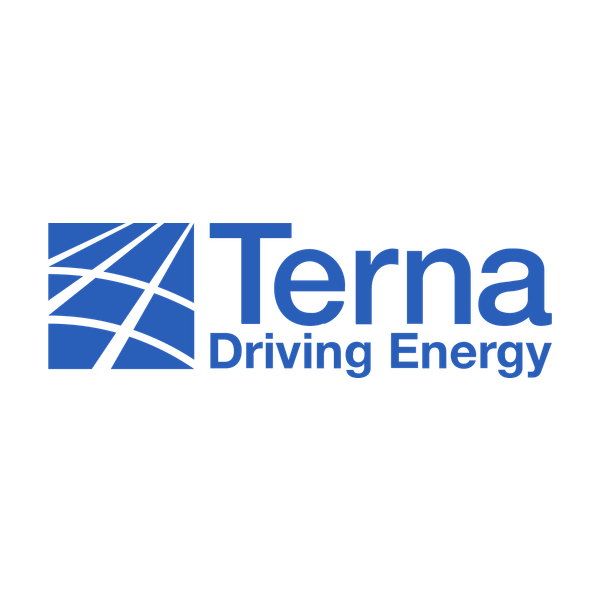 Logo Terna con simbolo geometrico blu e scritta Driving Energy